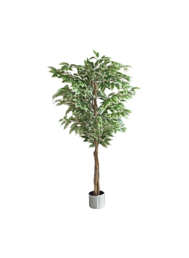 Sharpdo 150CM Artificial Variegated Ficus Tree, Lifelike Faux Variegated Ficus Plant with Natural Wood Trunk, Low Maintenance Fake Floor Plant for Home Office Living Room Corner Decor, Potted - Image 1